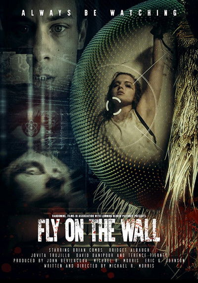 Póster de Fly on the Wall