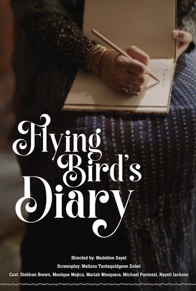 Póster de Flying Bird's Diary