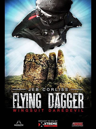 Póster de Flying Dagger
