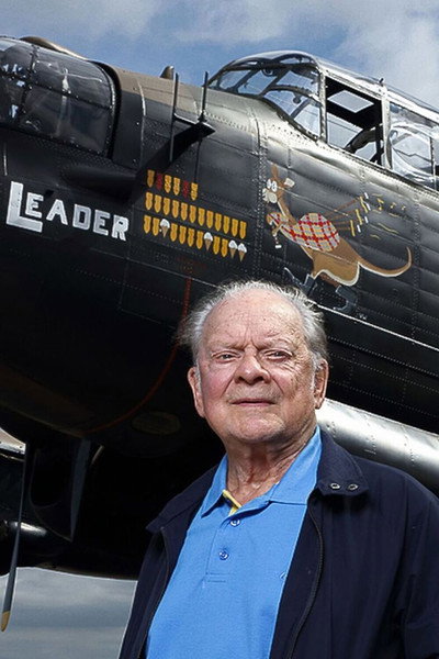 Póster de Flying for Britain with David Jason