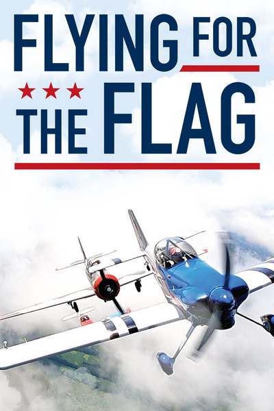 Póster de Flying for the Flag