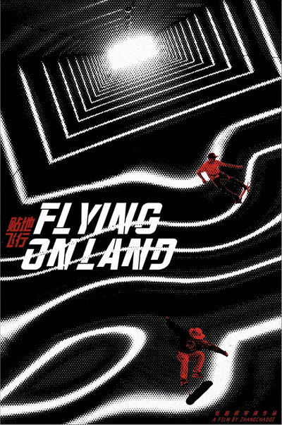 Póster de Flying on Land