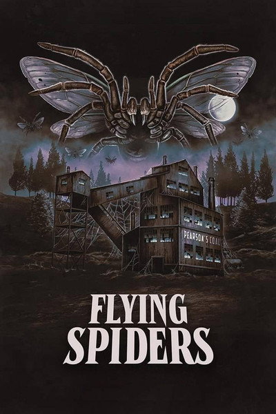 Póster de Flying Spiders
