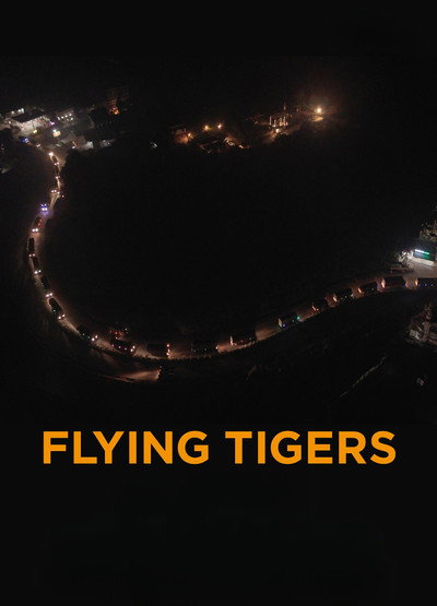 Póster de Flying Tigers