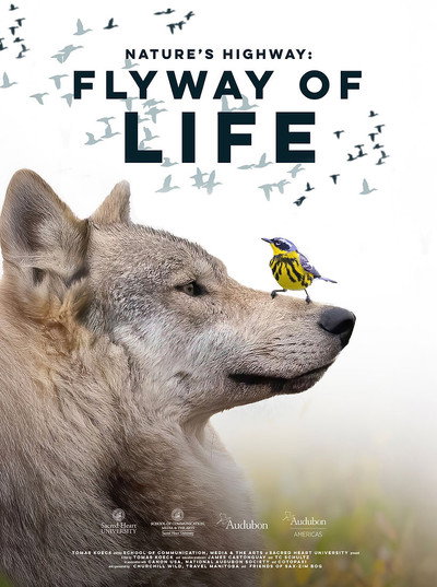 Póster de Flyway of Life