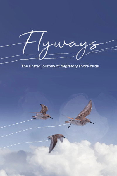 Póster de Flyways: The Untold Journey of Migratory Shorebirds