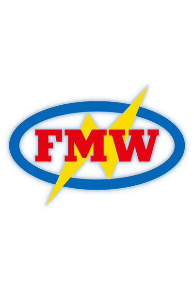 Póster de FMW: The Enforcer