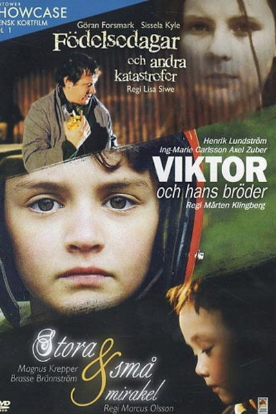 Póster de Födelsedagar och andra katastrofer
