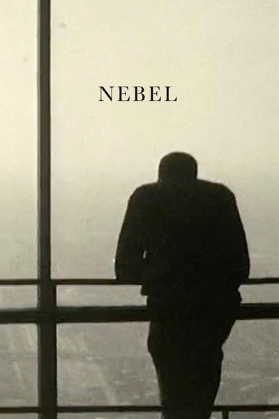 Póster de Fog