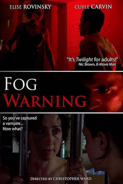 Póster de Fog Warning