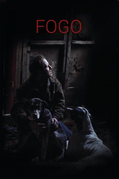 Póster de Fogo