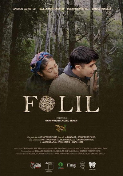 Póster de Folil