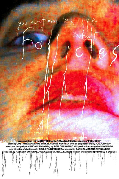 Póster de Follicles