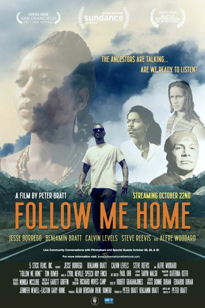 Póster de Follow Me Home