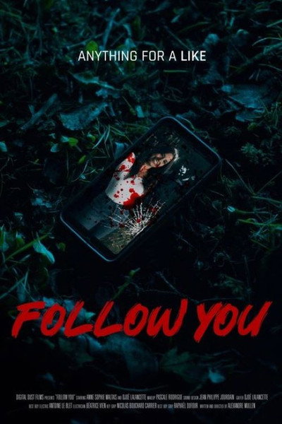 Póster de Follow You