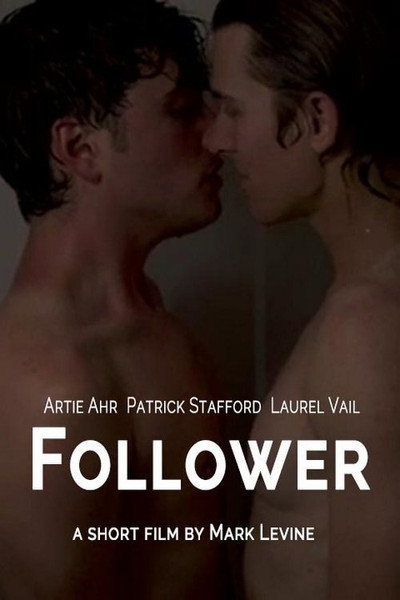 Póster de Follower