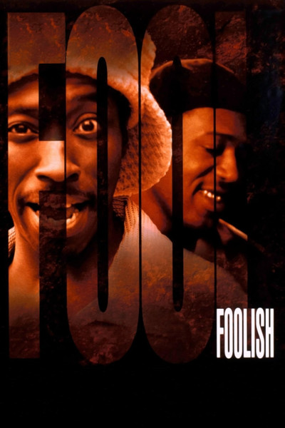 Póster de Foolish