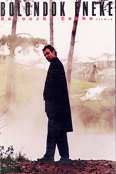 Póster de Fool's Song
