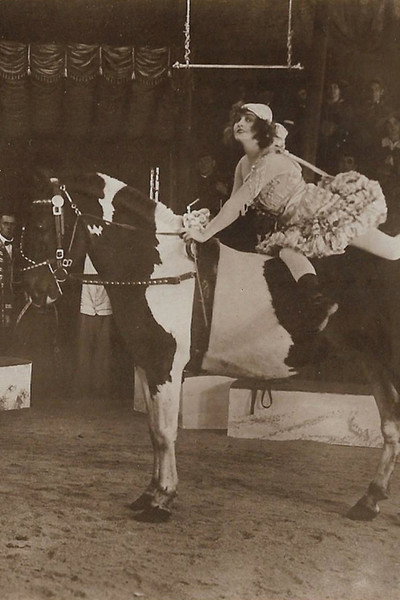 Póster de For Crown and Whip