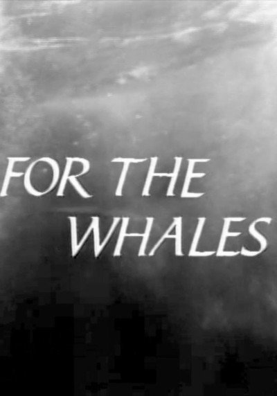 Póster de For the Whales