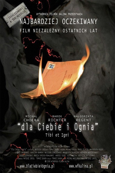 Póster de For You and the Fire