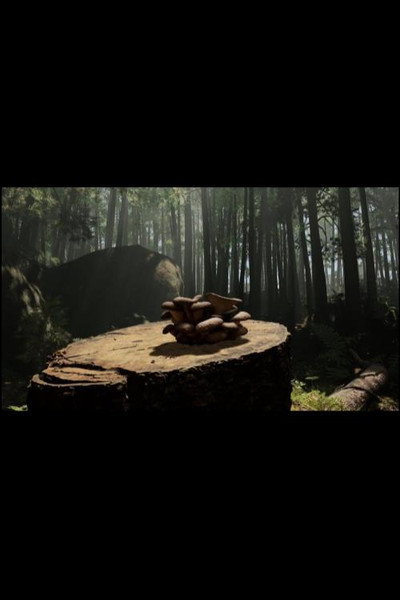 Póster de Forager: Immersive Multi-sensory Experience