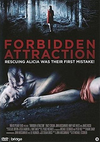 Póster de Forbidden Attraction