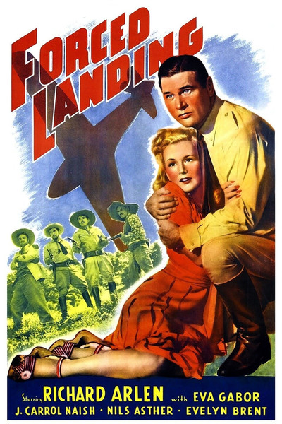 Póster de Forced Landing