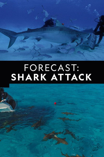 Póster de Forecast Shark Attack