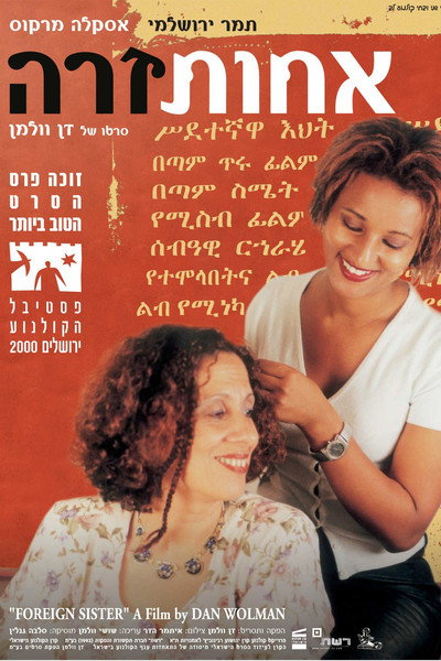 Póster de Foreign Sister