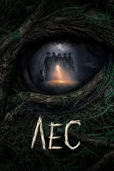 Póster de Forest
