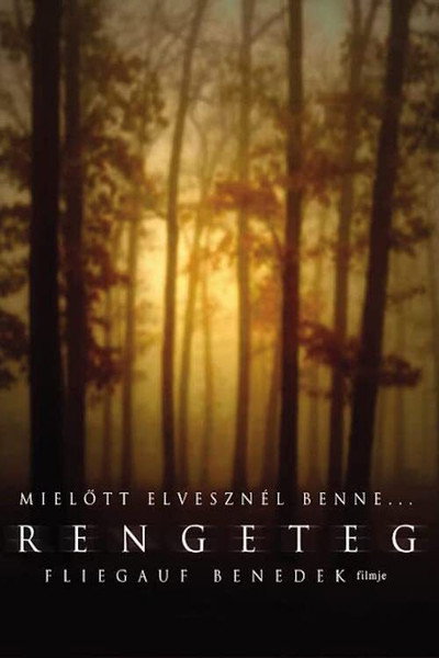 Póster de Forest