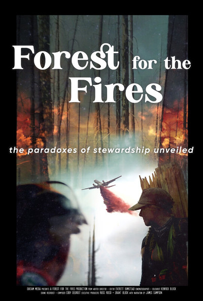 Póster de Forest for the Fires