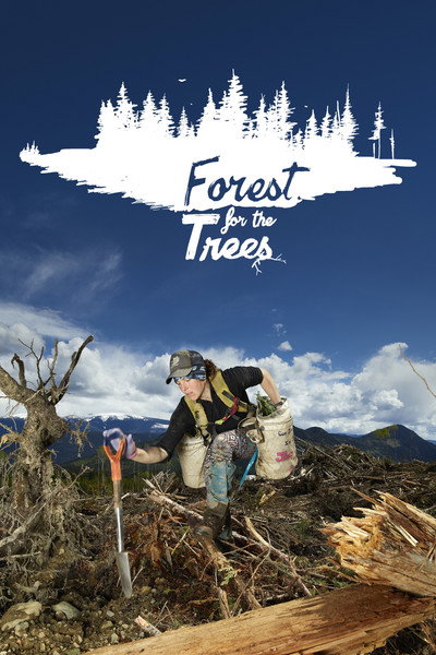 Póster de Forest for the trees