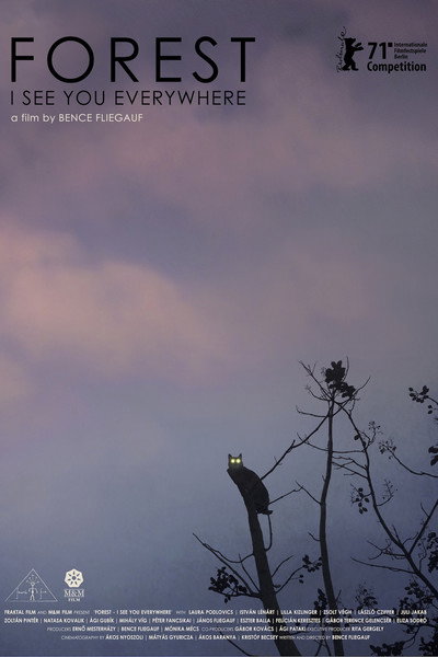 Póster de Forest: I See You Everywhere