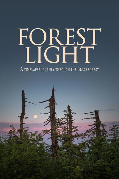 Póster de Forest Light