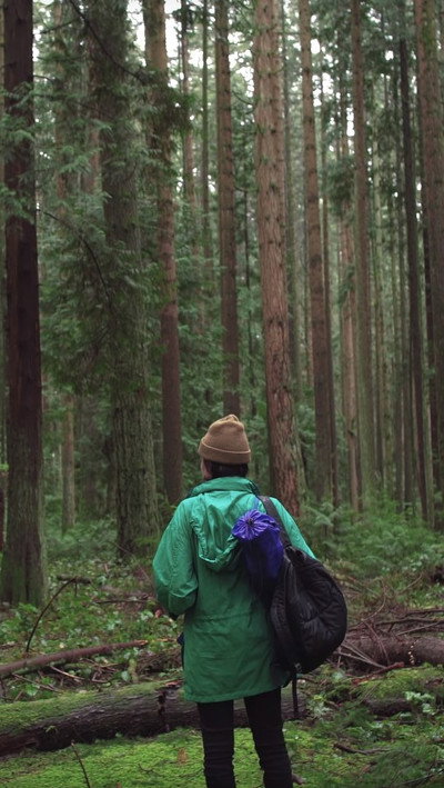 Póster de Forest Movie