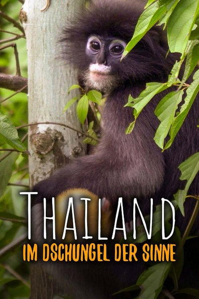 Póster de Forest of Colours - Thailand's Tenasserim Hills