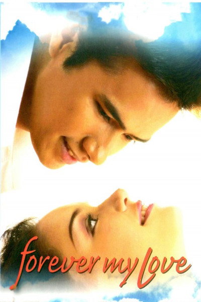 Póster de Forever My Love