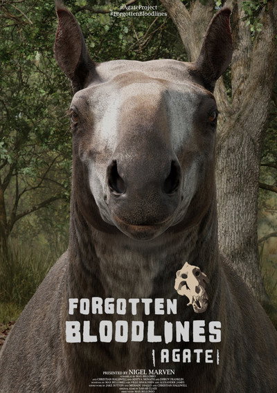 Póster de Forgotten Bloodlines: Agate