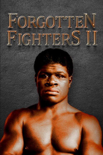 Póster de Forgotten Fighters II