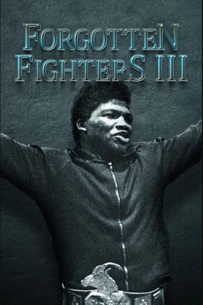 Póster de Forgotten Fighters III