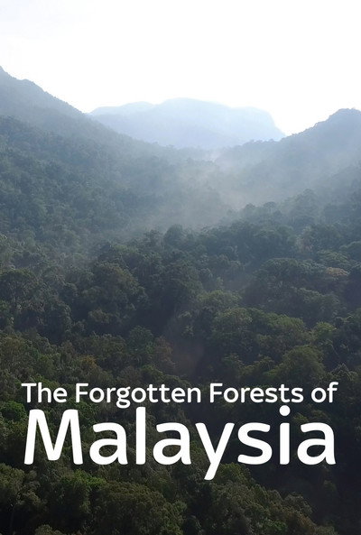 Póster de Forgotten Forests of Malaysia