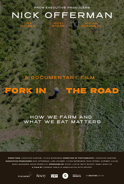 Póster de Fork in the Road