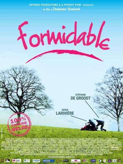 Póster de Formidable
