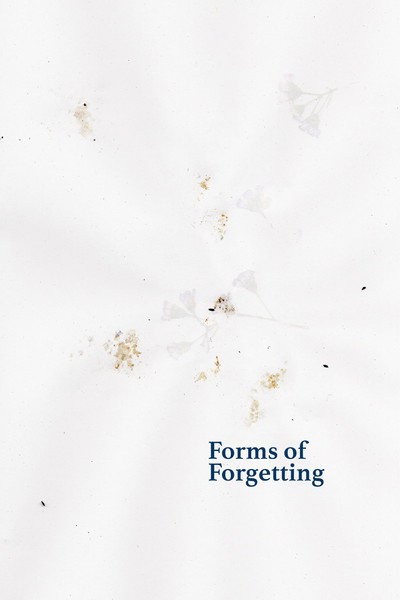 Póster de Forms of Forgetting