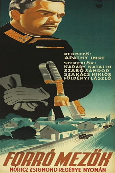 Póster de Forró mezök