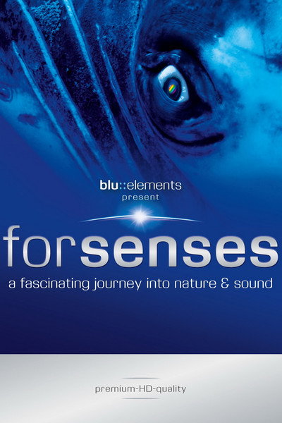 Póster de Forsenses: A Fascinating Journey Into Nature & Sound