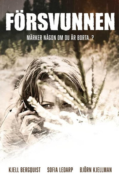 Póster de Försvunnen