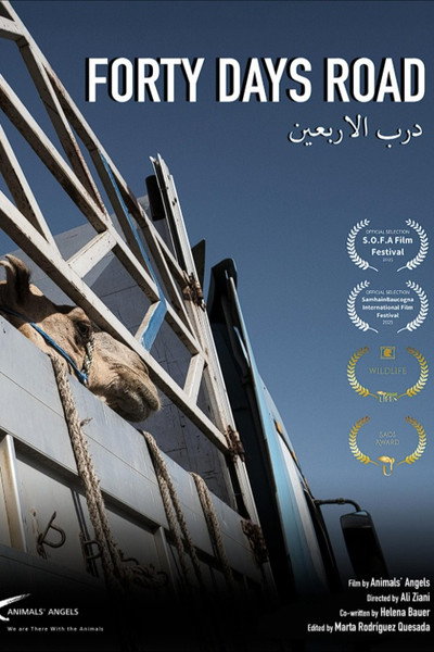 Póster de Forty Days Road